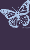 butterfly