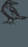 raven