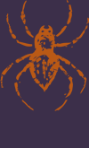 spider